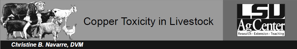Banner image Copper Toxicity in Livestock LSU AgCenter Christine B. Navarre, DVM